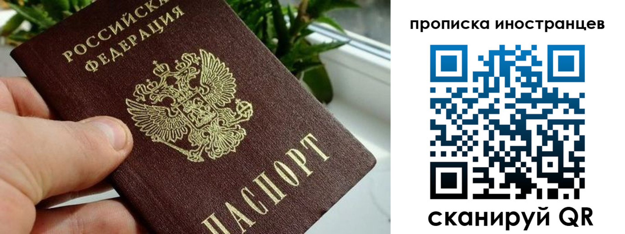 временная регистрация в Гусеве